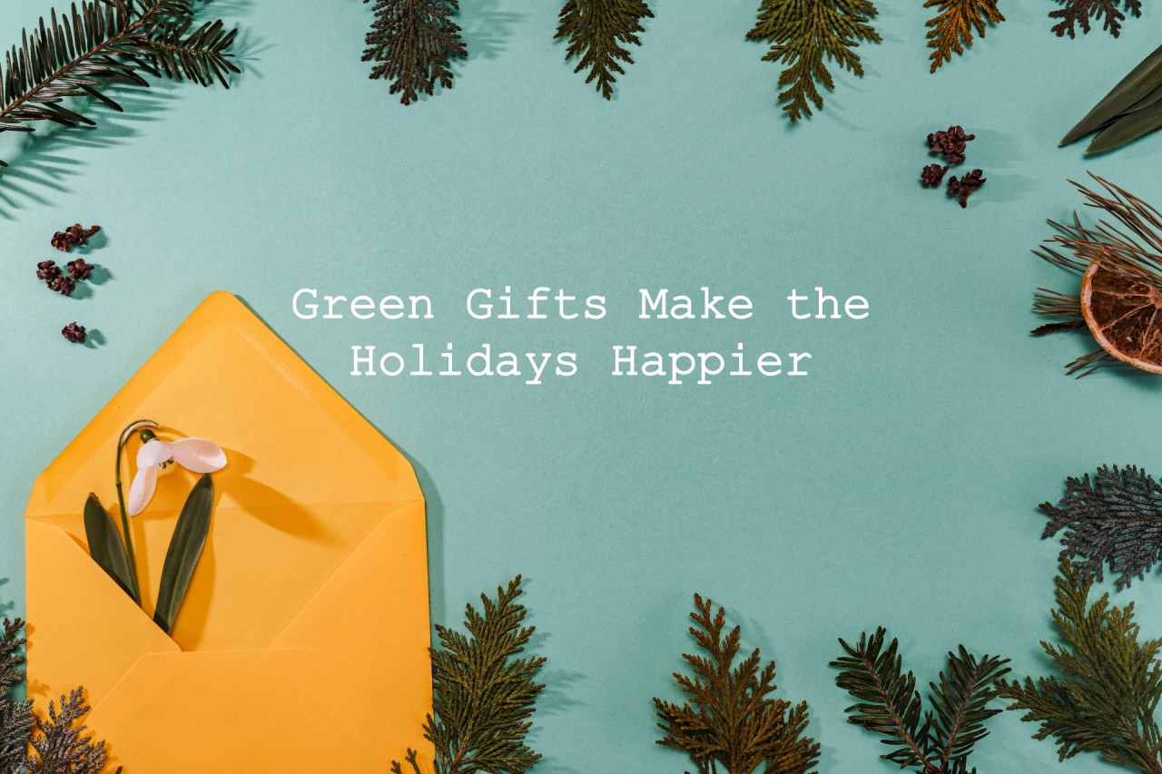 green gifts make the holidays happier