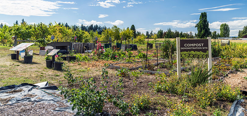 Compost demo site